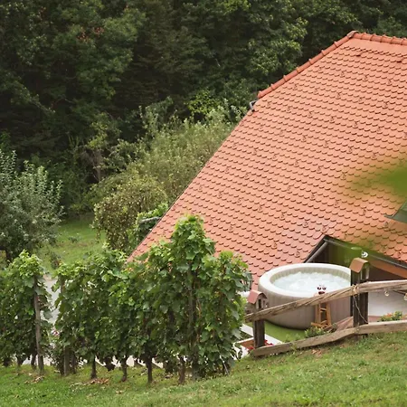 Tramte In Vineyards - Happy * Skocjan (Skocjan)