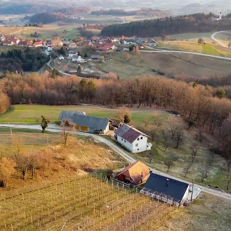 Tramte In Vineyards - Happy Skocjan (Skocjan)